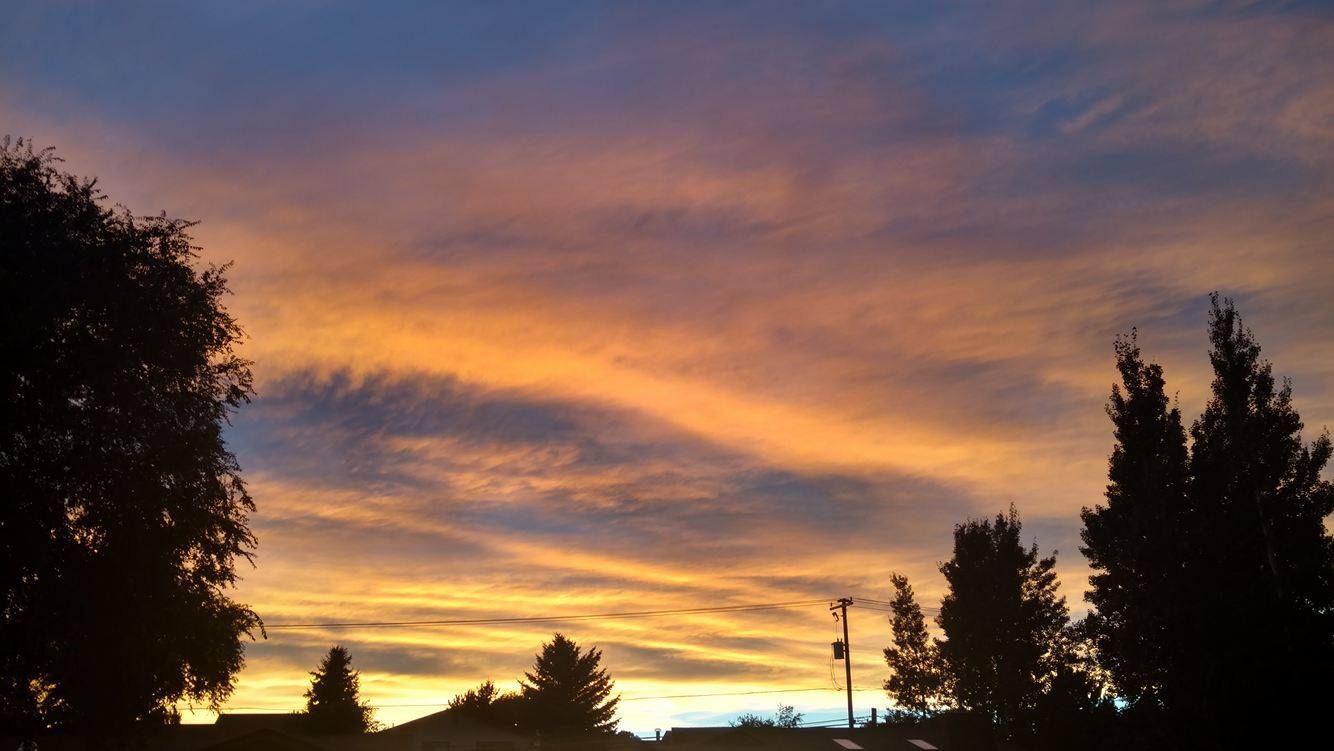 SUNSET SILHOUETTES